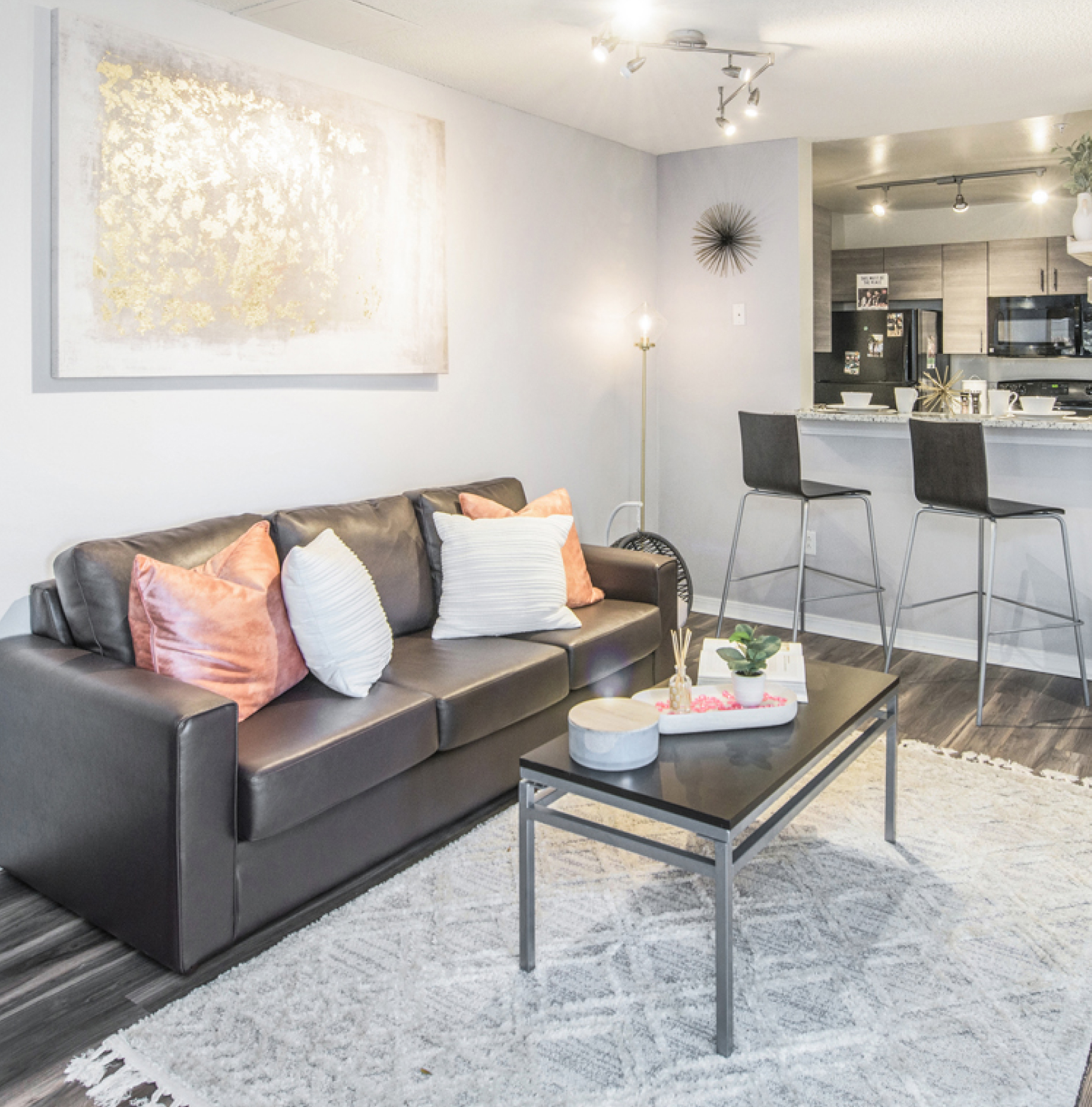 Furnished apartment living space