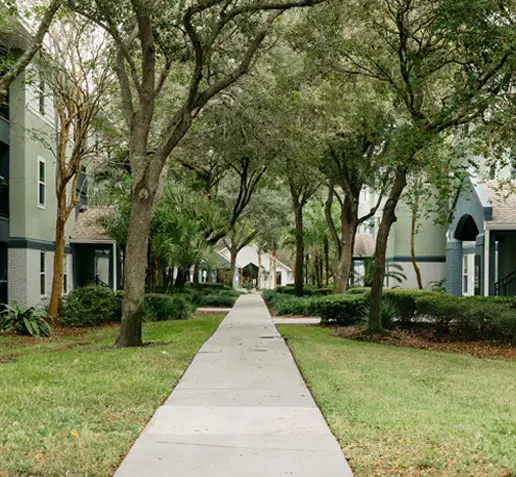 Paved walkway between apartments with large shaded trees.