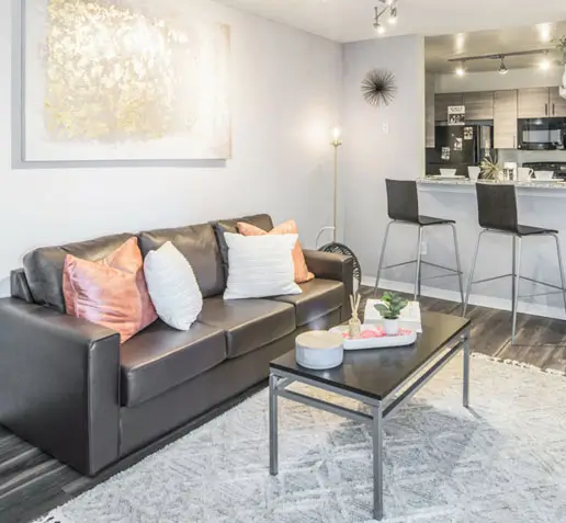 Apartment living room with a couch, barstools, and a coffee table.